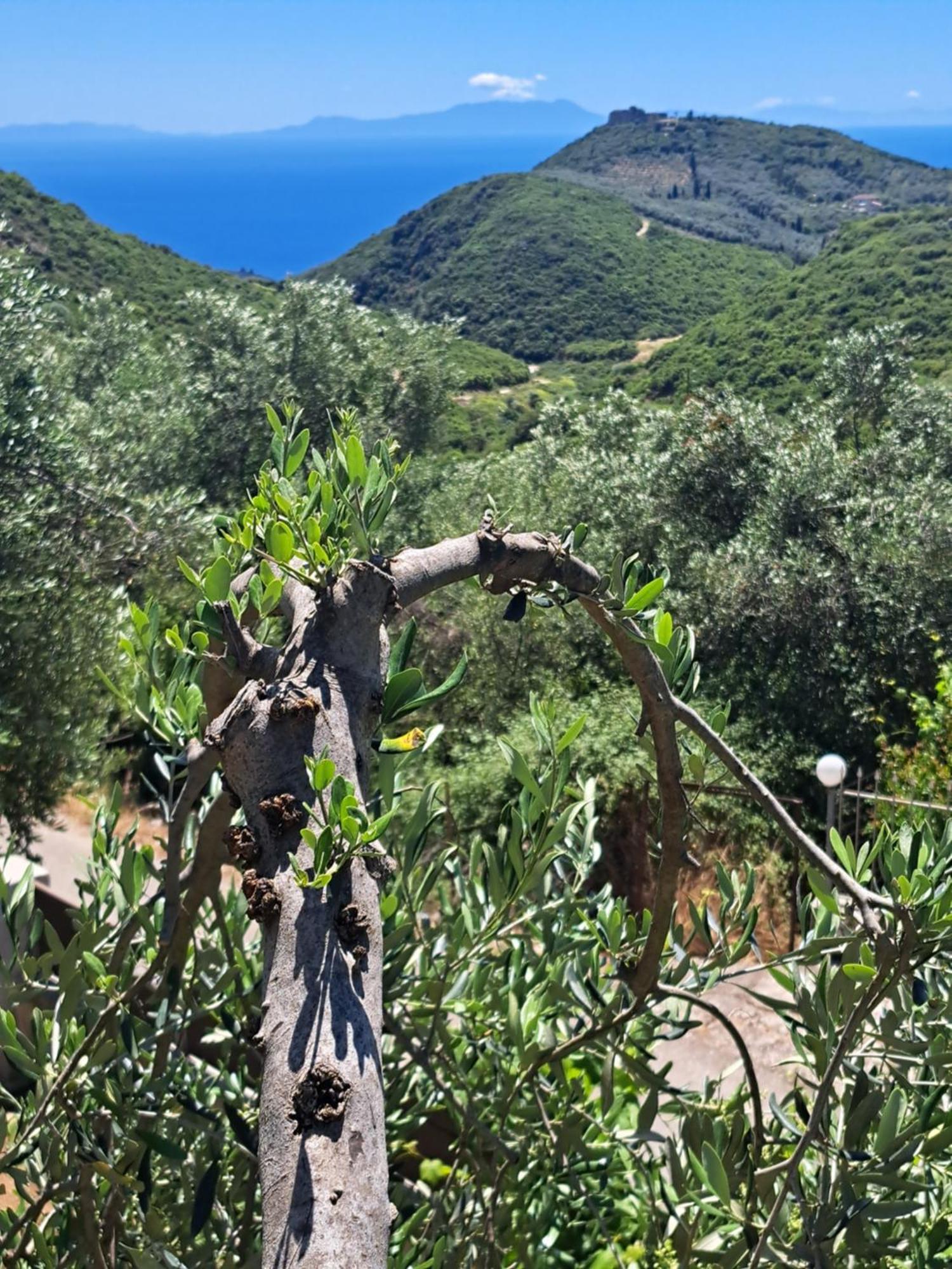 Sogno 2 Villa Parga Eksteriør bilde